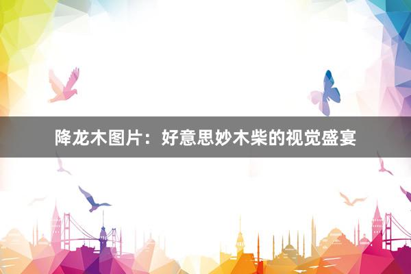 降龙木图片：好意思妙木柴的视觉盛宴